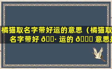 橘猫取名字带好运的意思（橘猫取名字带好 🌷 运的 🐋 意思是什么）